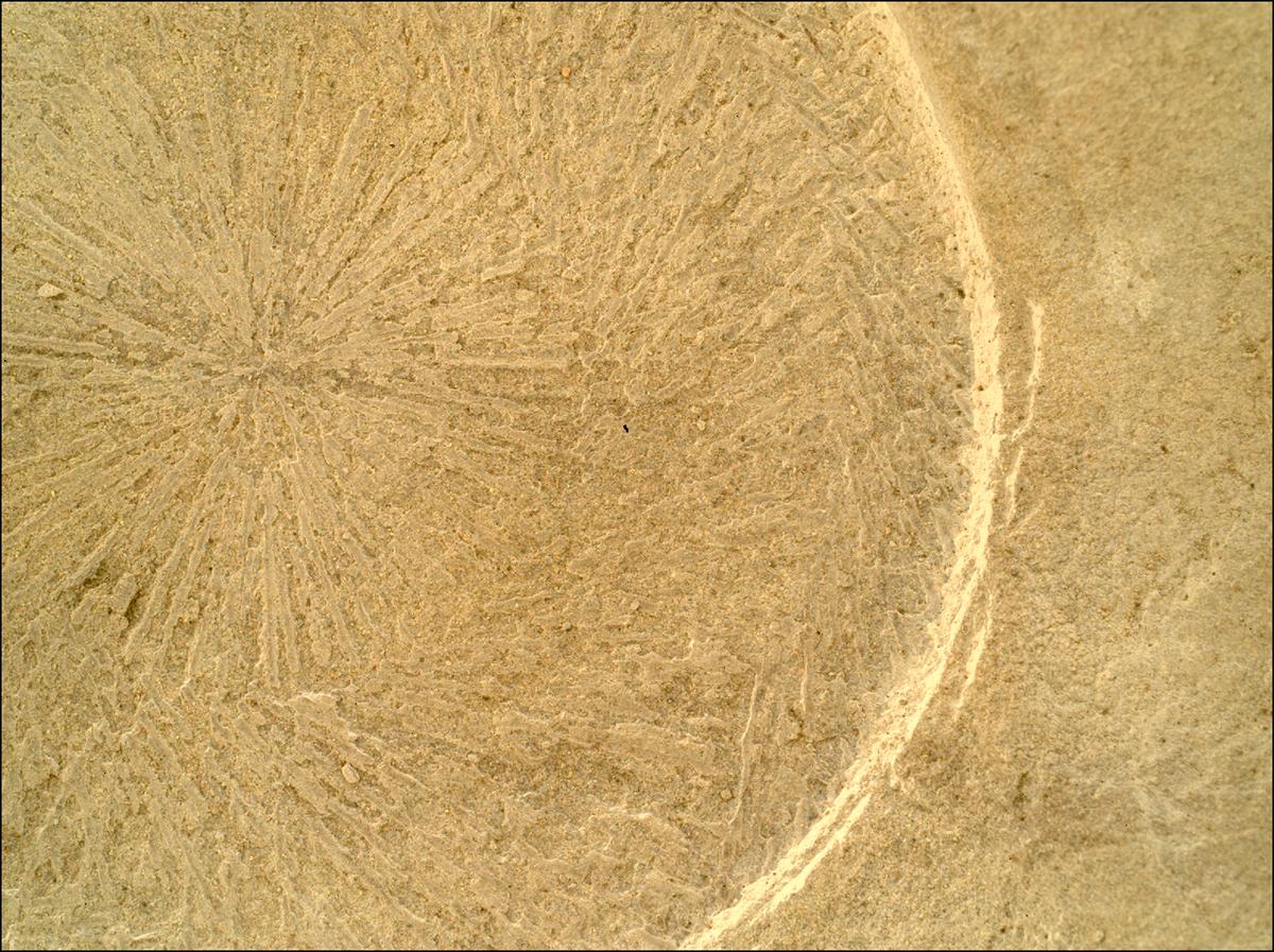 This image was taken by SHERLOC_WATSON onboard NASA's Mars rover Perseverance on Sol 1771