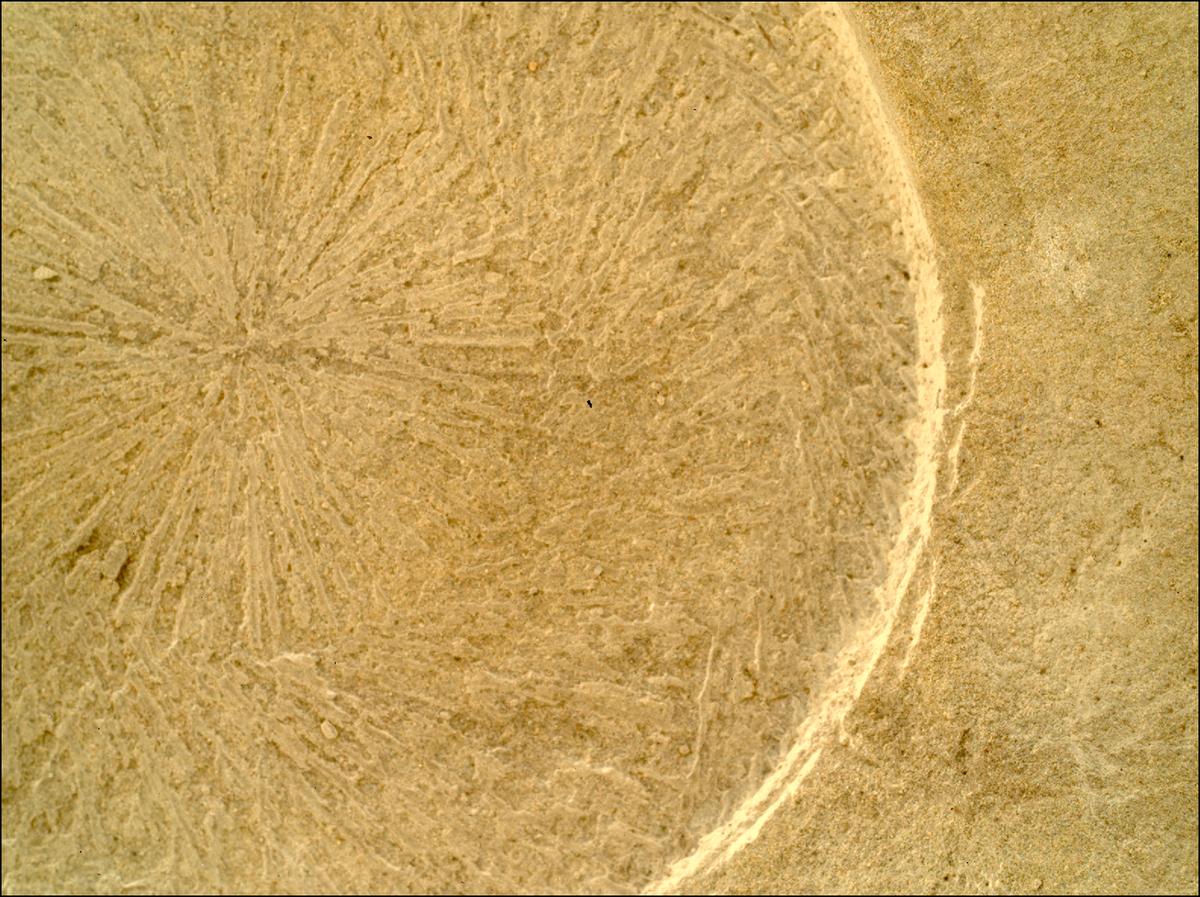 This image was taken by SHERLOC_WATSON onboard NASA's Mars rover Perseverance on Sol 1771
