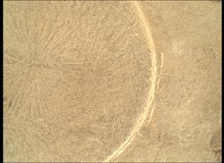 View image taken on Mars, Mars Perseverance Sol 1771: WATSON Camera 