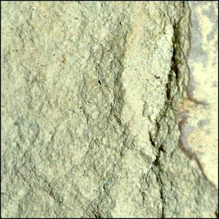 View image taken on Mars, Mars Perseverance Sol 1771: WATSON Camera 