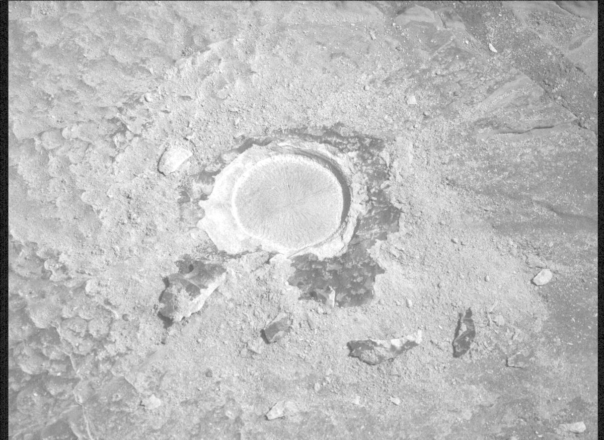 This image was taken by MCZ_LEFT onboard NASA's Mars rover Perseverance on Sol 1771