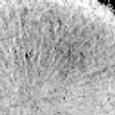 This image was taken by MCZ_LEFT onboard NASA's Mars rover Perseverance on Sol 1771