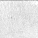 This image was taken by MCZ_RIGHT onboard NASA's Mars rover Perseverance on Sol 1771