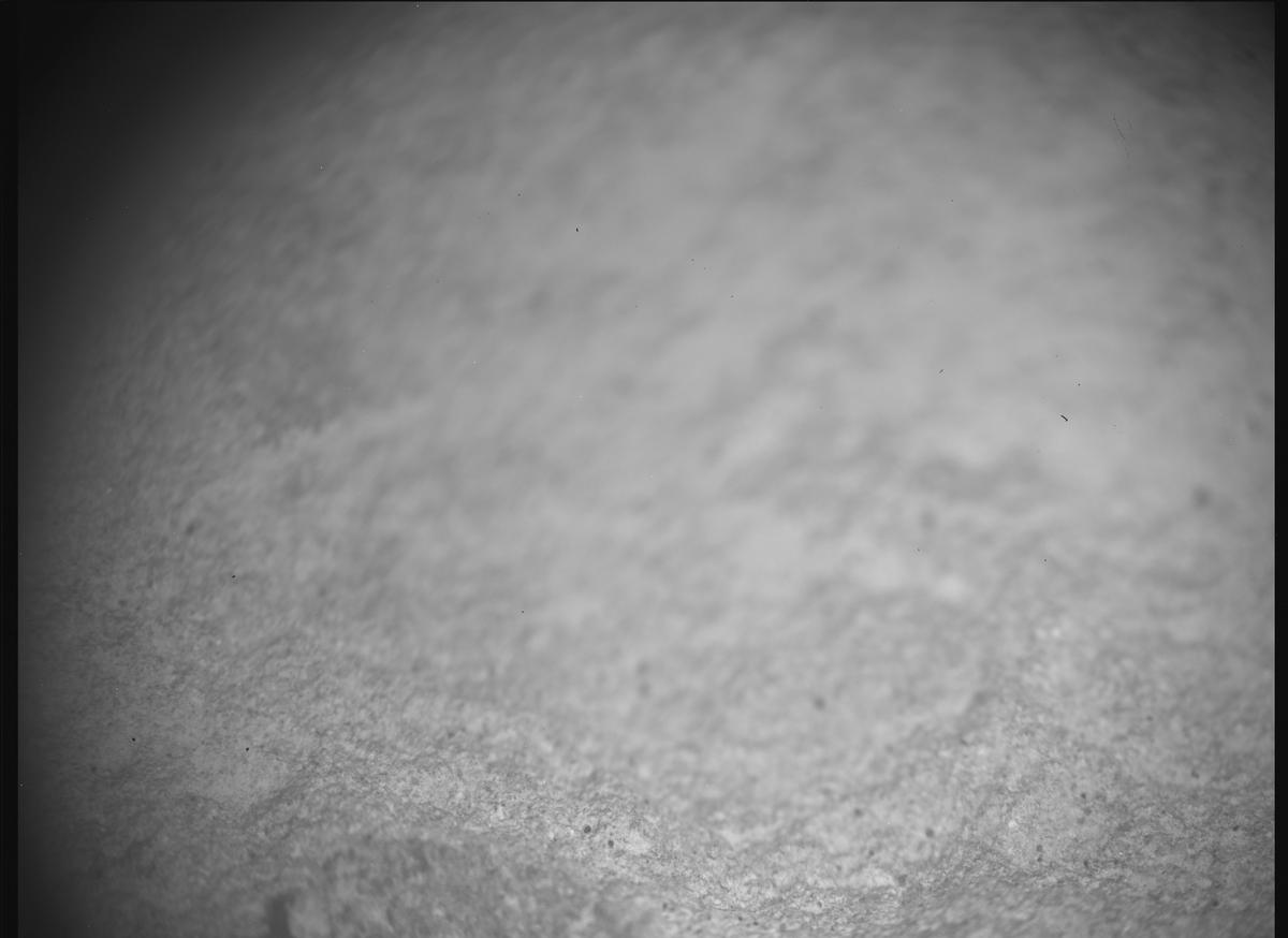 This image was taken by SHERLOC_ACI onboard NASA's Mars rover Perseverance on Sol 1774