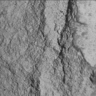 View image taken on Mars, Mars Perseverance Sol 1774: WATSON Camera 