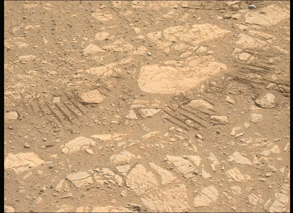 This image was taken by MCZ_LEFT onboard NASA's Mars rover Perseverance on Sol 1775