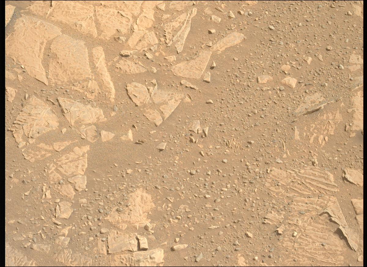 This image was taken by MCZ_LEFT onboard NASA's Mars rover Perseverance on Sol 1775