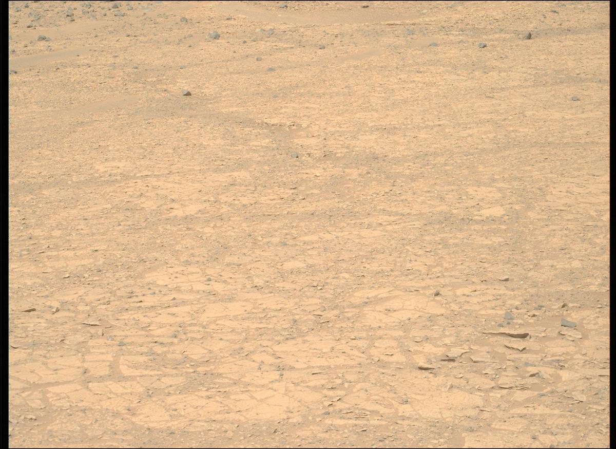 This image was taken by MCZ_RIGHT onboard NASA's Mars rover Perseverance on Sol 1775