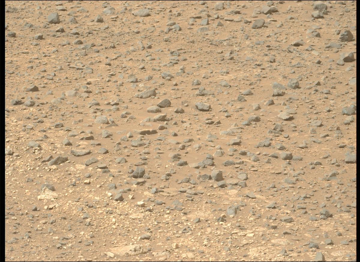 This image was taken by MCZ_LEFT onboard NASA's Mars rover Perseverance on Sol 1779