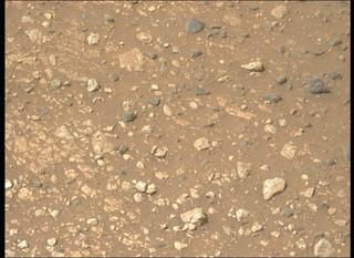 View image taken on Mars, Mars Perseverance Sol 1779: Left Mastcam-Z Camera