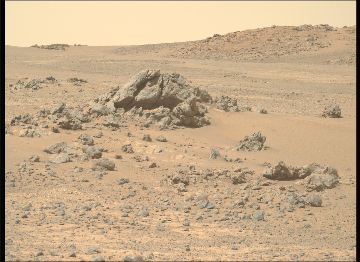 Image of the Week taken by Perseverance