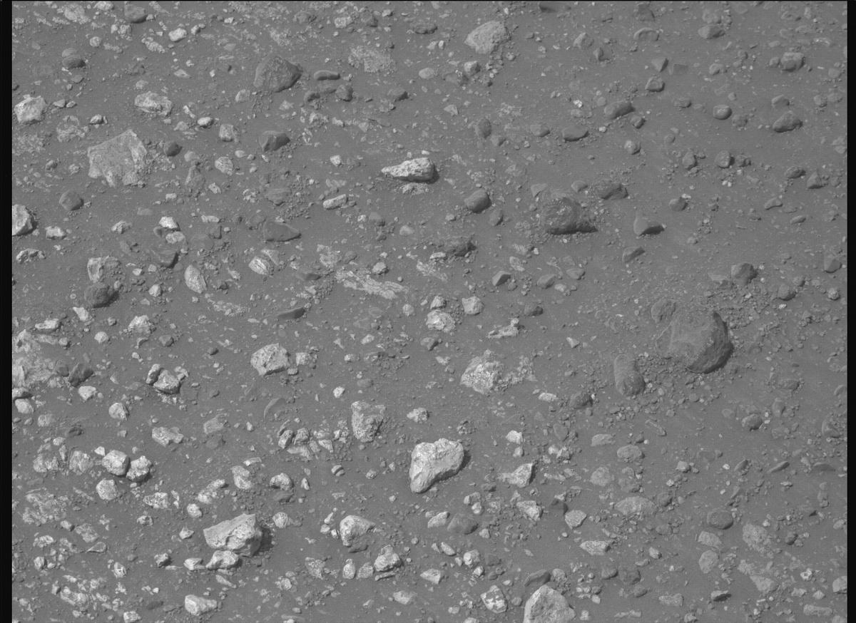 This image was taken by MCZ_RIGHT onboard NASA's Mars rover Perseverance on Sol 1779