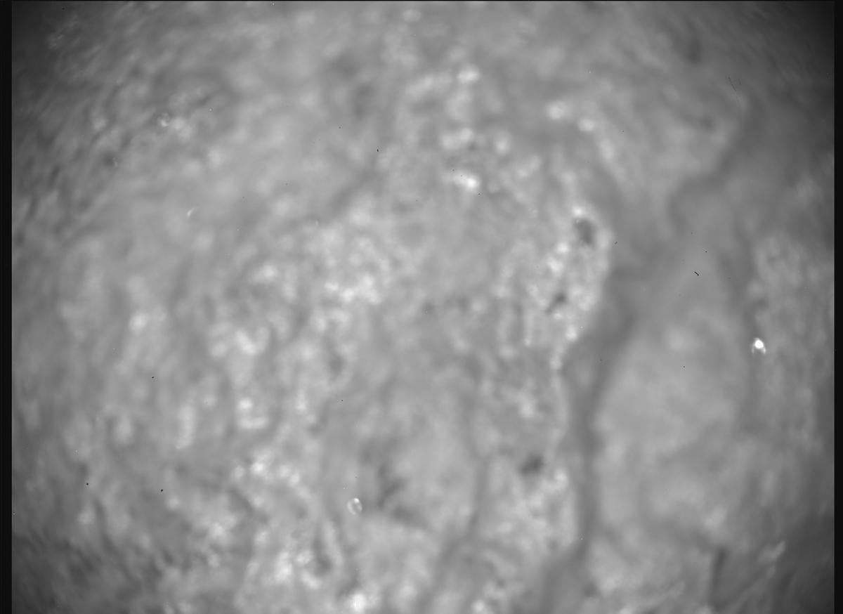 This image was taken by SHERLOC_ACI onboard NASA's Mars rover Perseverance on Sol 1780