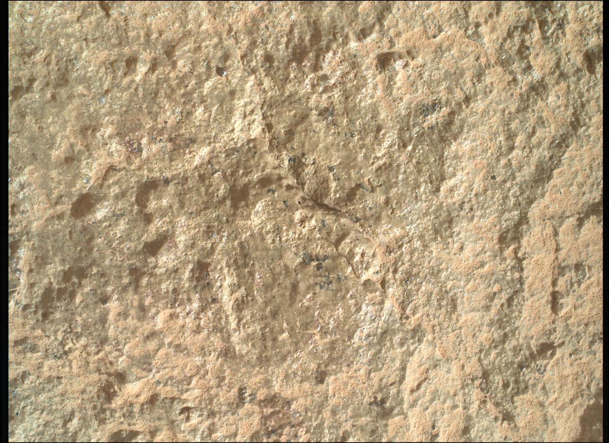 This image was taken by SHERLOC_WATSON onboard NASA's Mars rover Perseverance on Sol 1780