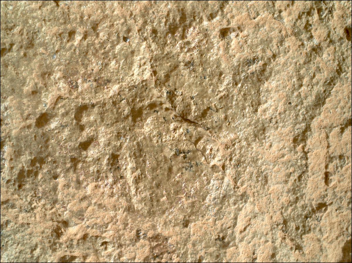 This image was taken by SHERLOC_WATSON onboard NASA's Mars rover Perseverance on Sol 1780