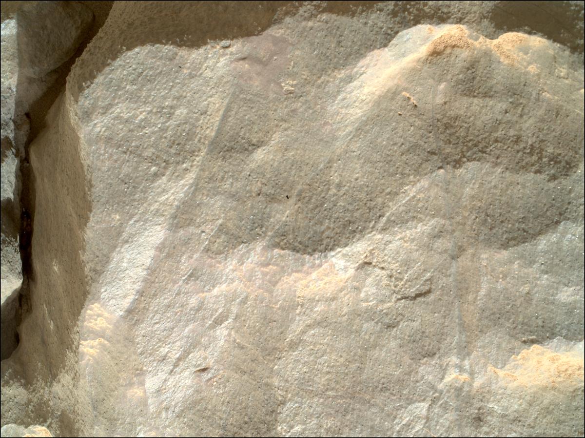 This image was taken by SHERLOC_WATSON onboard NASA's Mars rover Perseverance on Sol 1783