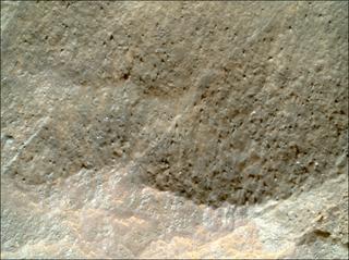 View image taken on Mars, Mars Perseverance Sol 1783: WATSON Camera 
