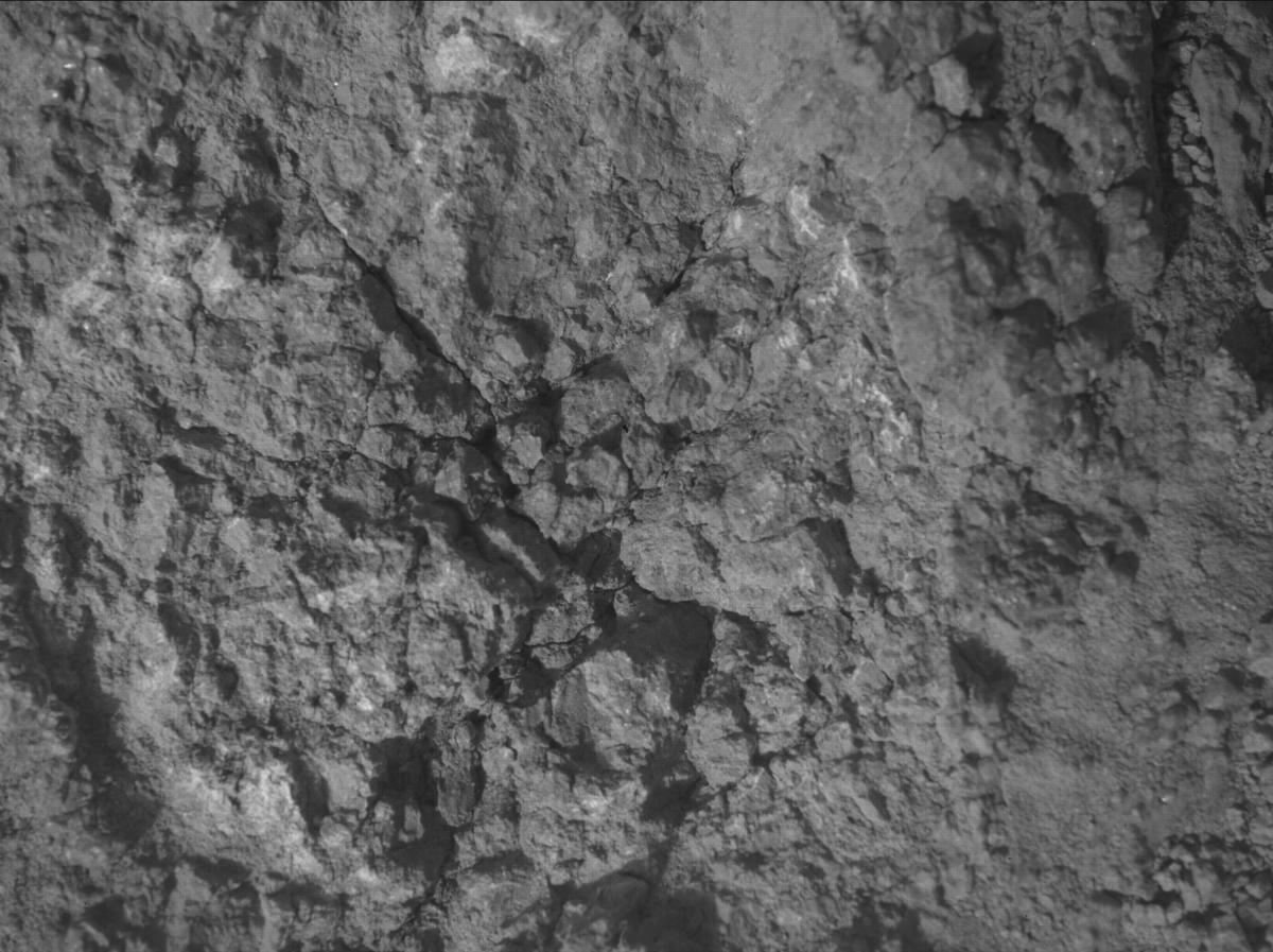 This image was taken by SHERLOC_WATSON onboard NASA's Mars rover Perseverance on Sol 1785