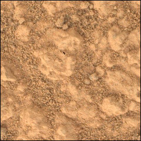 This image was taken by SHERLOC_WATSON onboard NASA's Mars rover Perseverance on Sol 1785