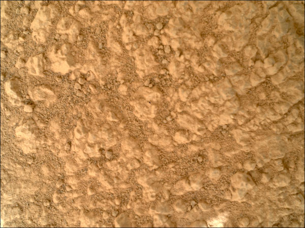 This image was taken by SHERLOC_WATSON onboard NASA's Mars rover Perseverance on Sol 1785
