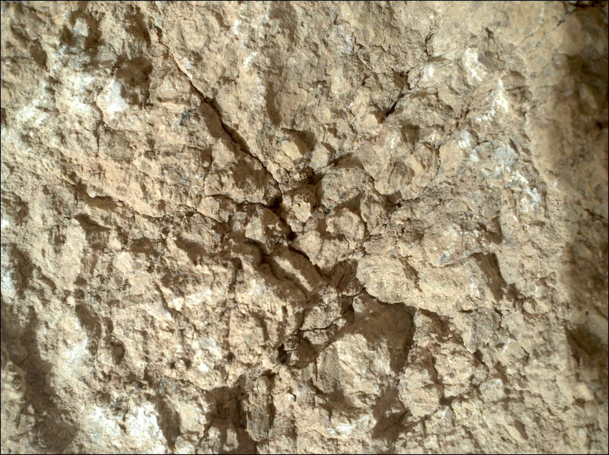This image was taken by SHERLOC_WATSON onboard NASA's Mars rover Perseverance on Sol 1785
