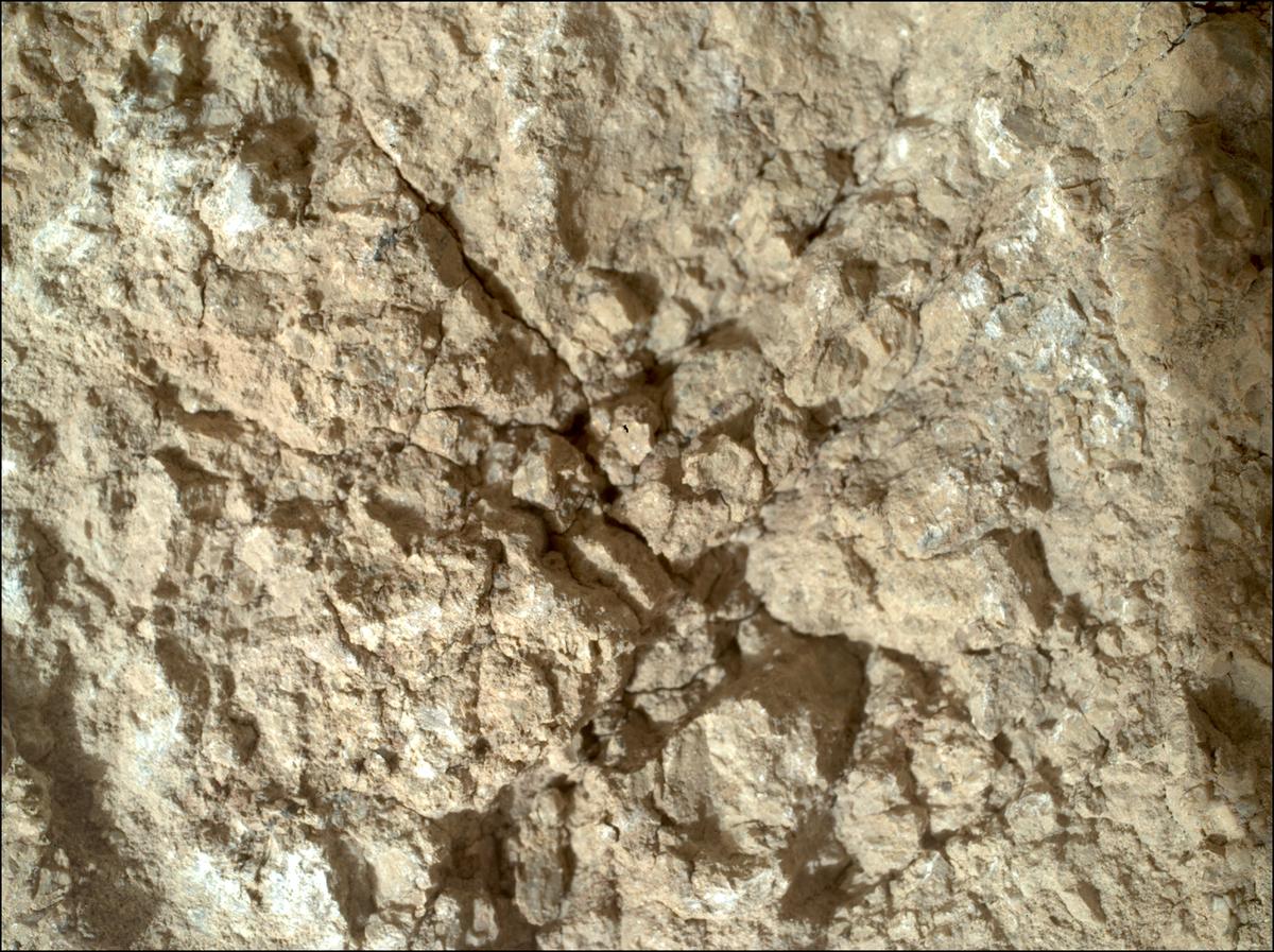 This image was taken by SHERLOC_WATSON onboard NASA's Mars rover Perseverance on Sol 1785