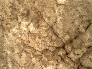 View image taken on Mars, Mars Perseverance Sol 1787: WATSON Camera 