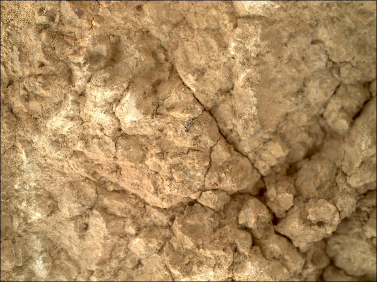 This image was taken by SHERLOC_WATSON onboard NASA's Mars rover Perseverance on Sol 1787