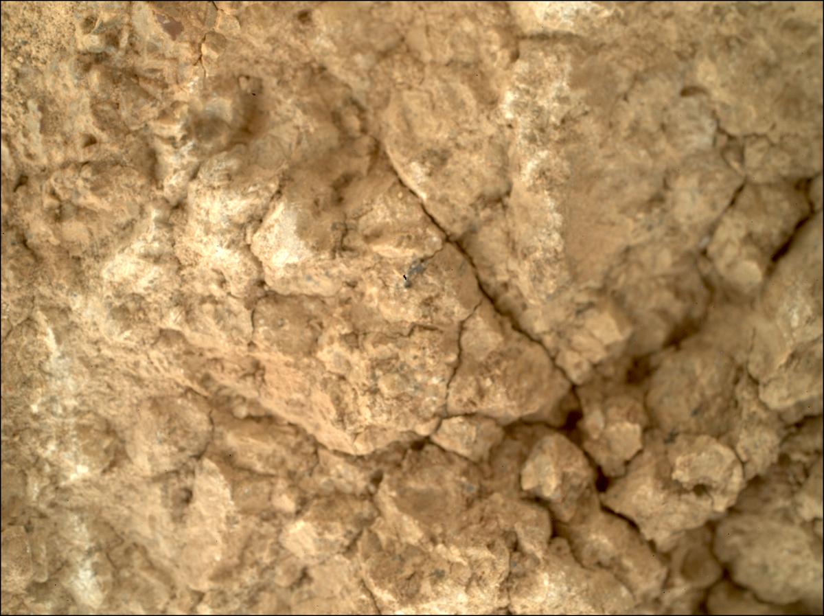 This image was taken by SHERLOC_WATSON onboard NASA's Mars rover Perseverance on Sol 1787