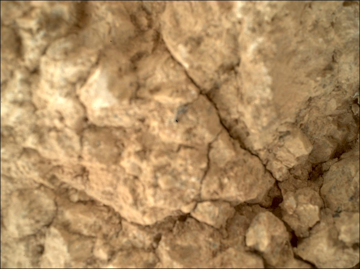 This image was taken by SHERLOC_WATSON onboard NASA's Mars rover Perseverance on Sol 1787