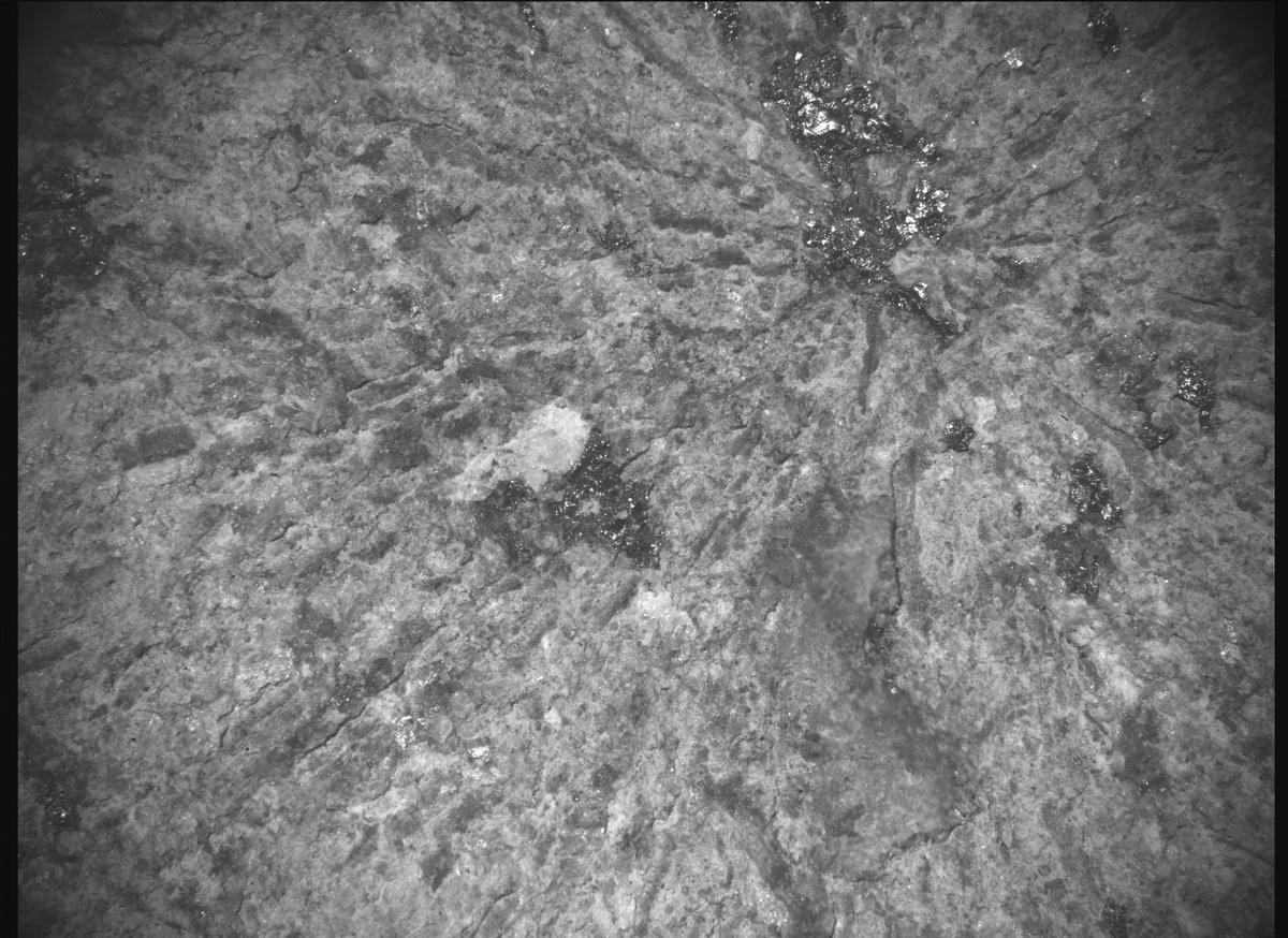 This image was taken by SHERLOC_ACI onboard NASA's Mars rover Perseverance on Sol 1798