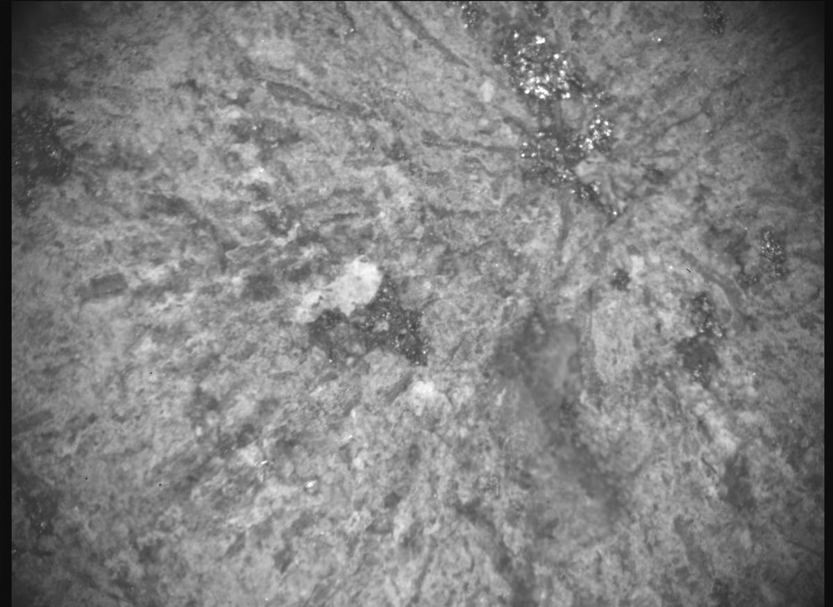 This image was taken by SHERLOC_ACI onboard NASA's Mars rover Perseverance on Sol 1798