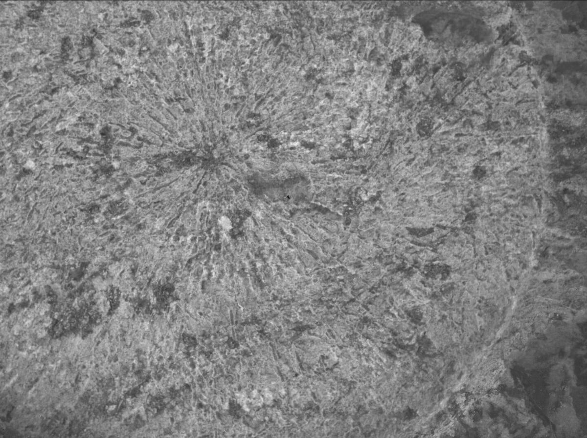 This image was taken by SHERLOC_WATSON onboard NASA's Mars rover Perseverance on Sol 1798