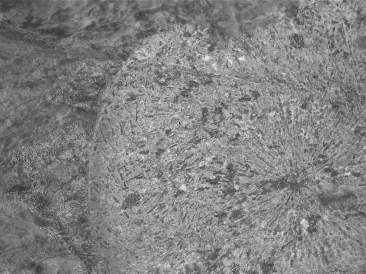 This image was taken by SHERLOC_WATSON onboard NASA's Mars rover Perseverance on Sol 1798