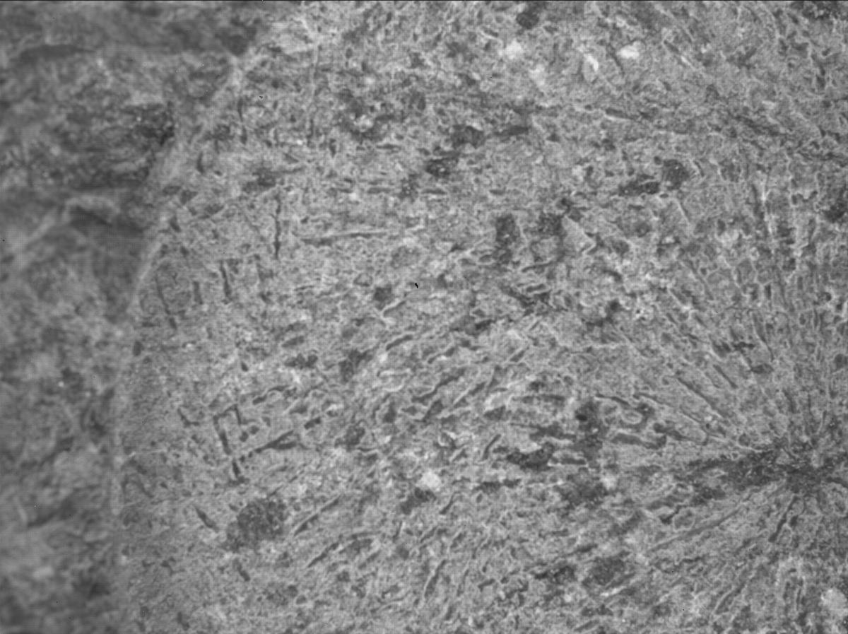 This image was taken by SHERLOC_WATSON onboard NASA's Mars rover Perseverance on Sol 1798