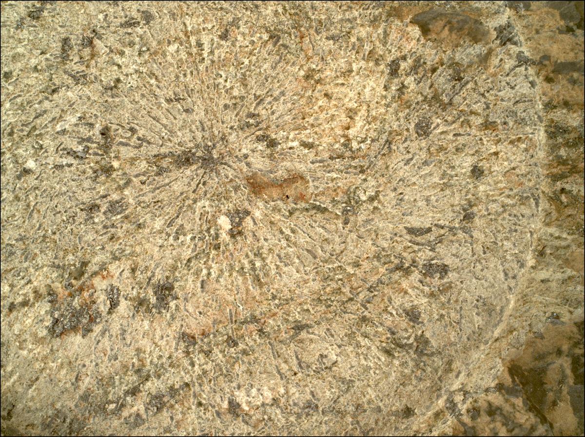 This image was taken by SHERLOC_WATSON onboard NASA's Mars rover Perseverance on Sol 1798