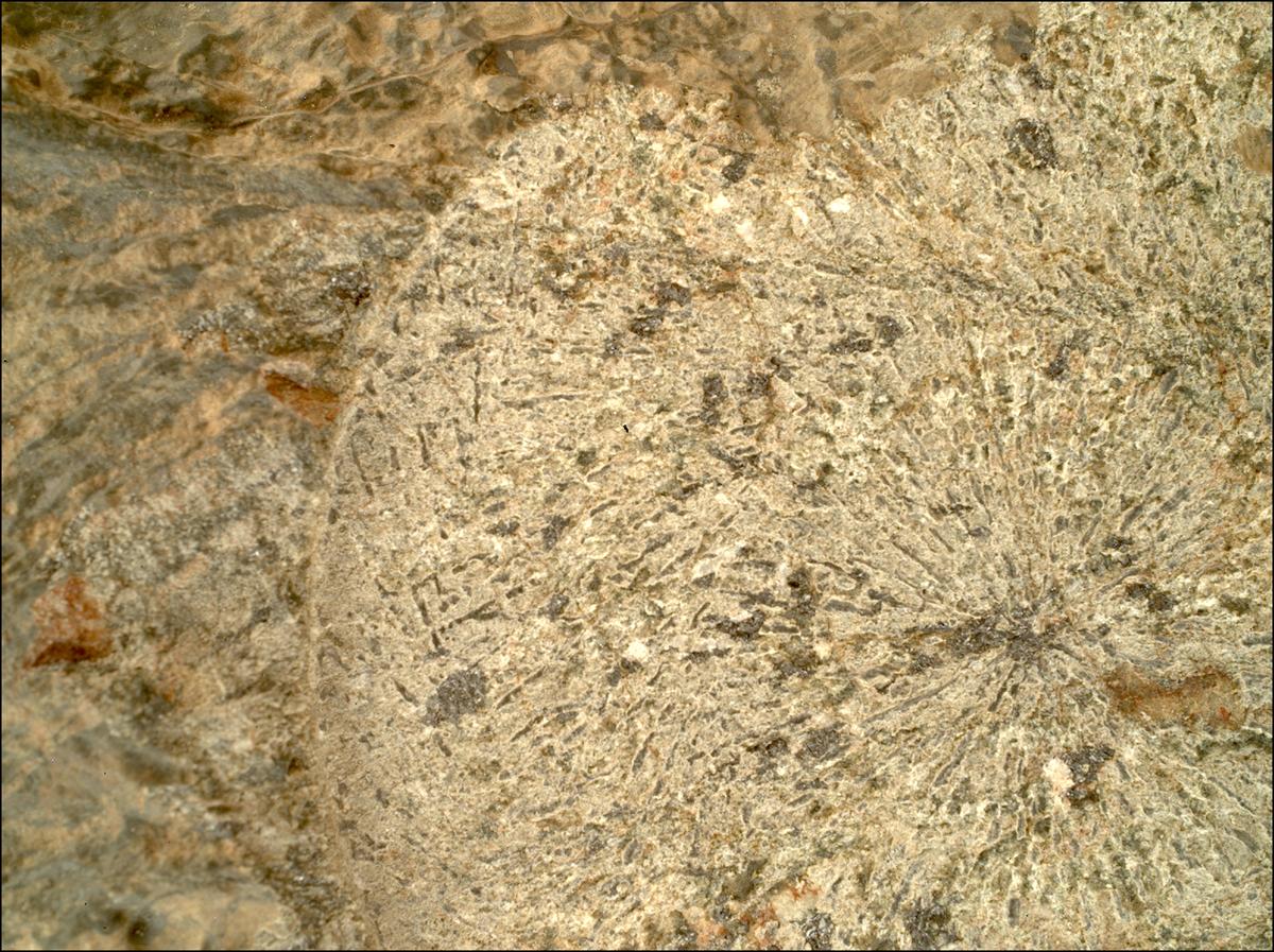 This image was taken by SHERLOC_WATSON onboard NASA's Mars rover Perseverance on Sol 1798
