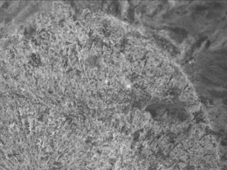View image taken on Mars, Mars Perseverance Sol 1800: WATSON Camera 