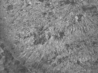 View image taken on Mars, Mars Perseverance Sol 1800: WATSON Camera 
