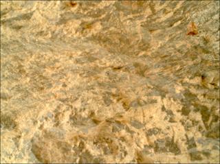 View image taken on Mars, Mars Perseverance Sol 1800: WATSON Camera 