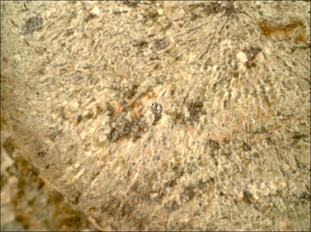 This image was taken by SHERLOC_WATSON onboard NASA's Mars rover Perseverance on Sol 1800