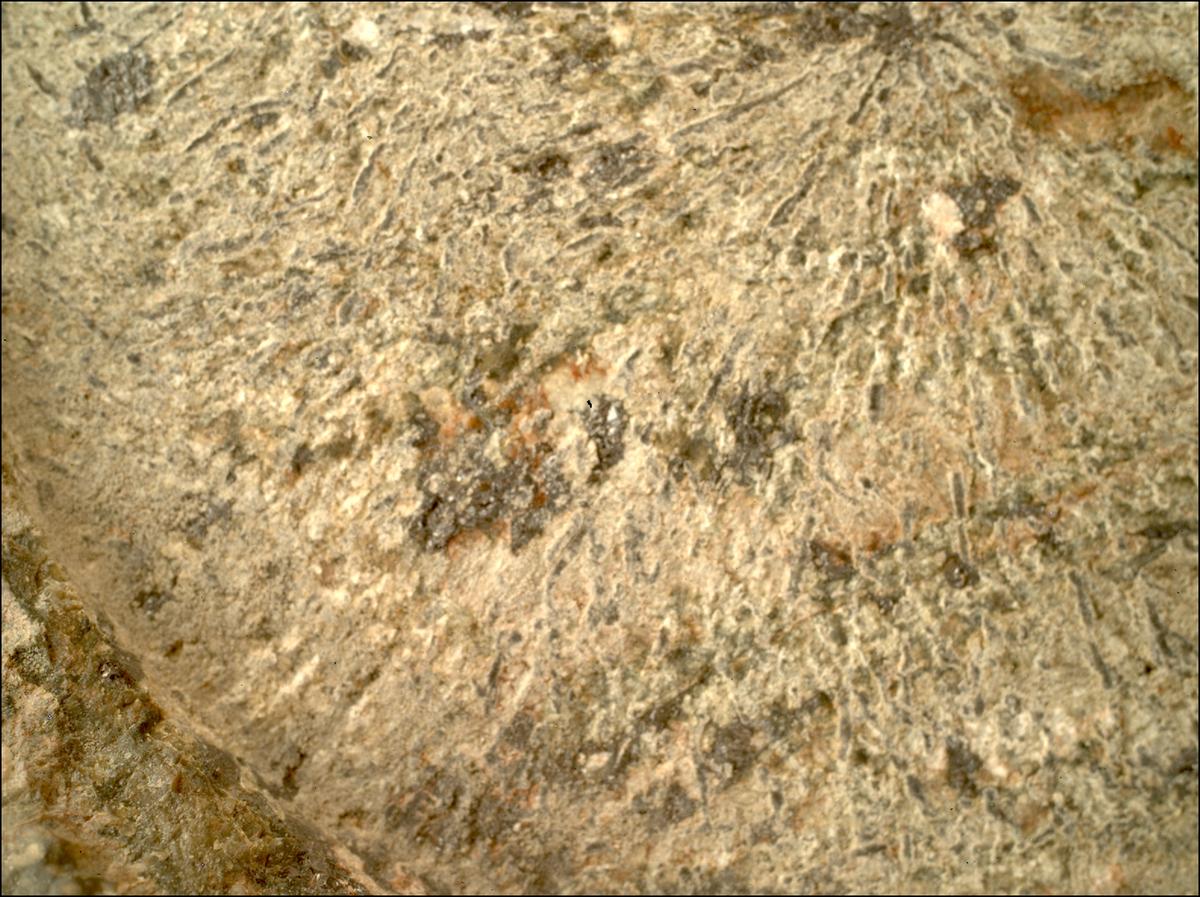 This image was taken by SHERLOC_WATSON onboard NASA's Mars rover Perseverance on Sol 1800