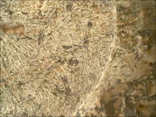 View image taken on Mars, Mars Perseverance Sol 1800: WATSON Camera 