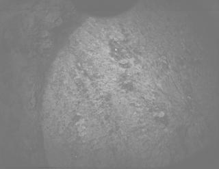 View image taken on Mars, Mars Perseverance Sol 1804: PIXL Camera 
