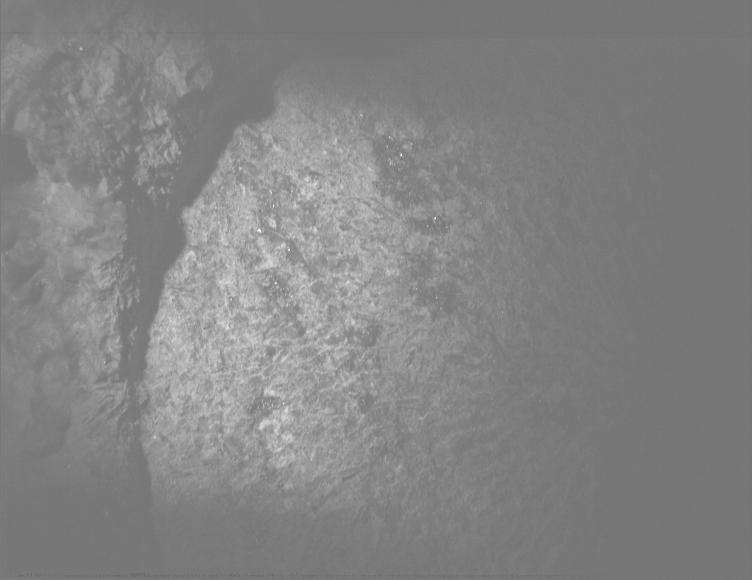 This image was taken by PIXL_MCC onboard NASA's Mars rover Perseverance on Sol 1804