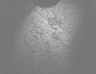 View image taken on Mars, Mars Perseverance Sol 1804: PIXL Camera 
