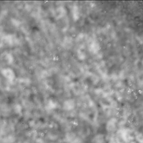 This image was taken by SHERLOC_ACI onboard NASA's Mars rover Perseverance on Sol 1810