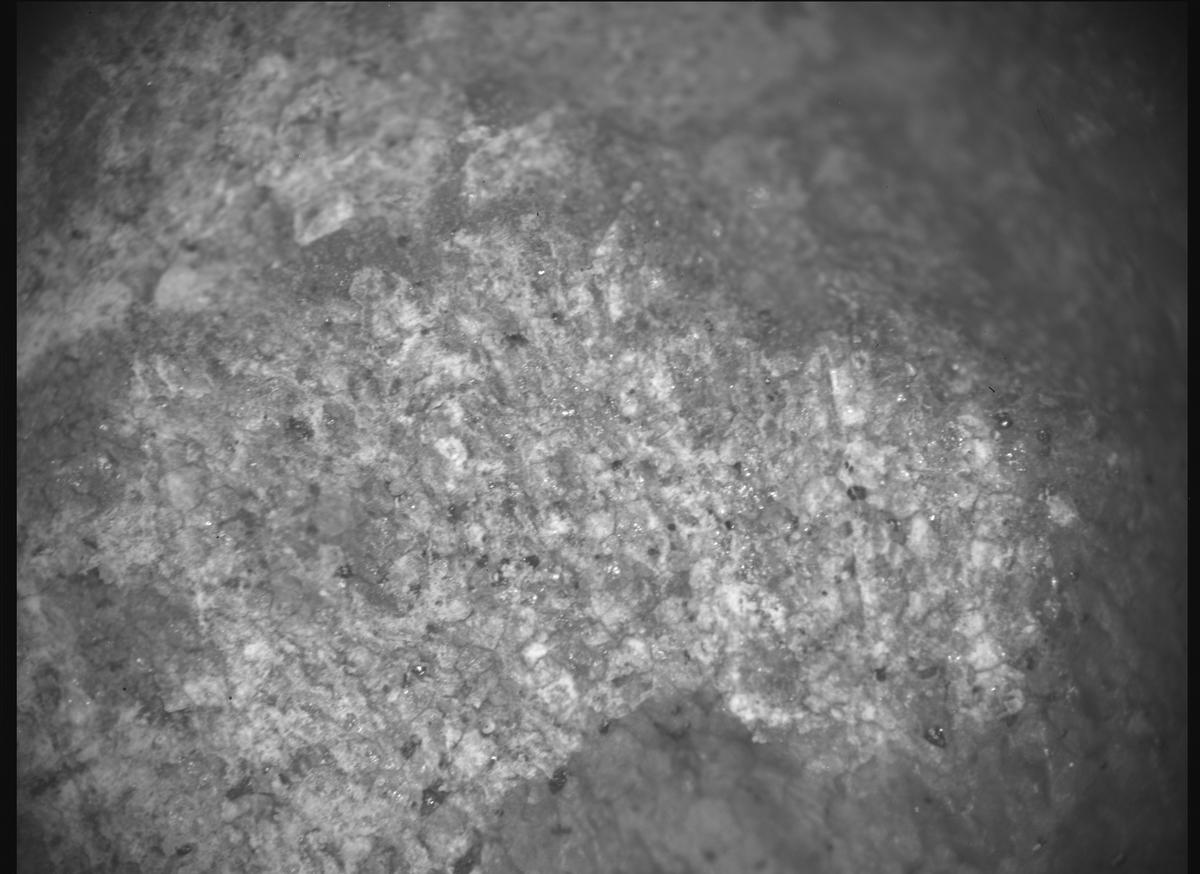 This image was taken by SHERLOC_ACI onboard NASA's Mars rover Perseverance on Sol 1810