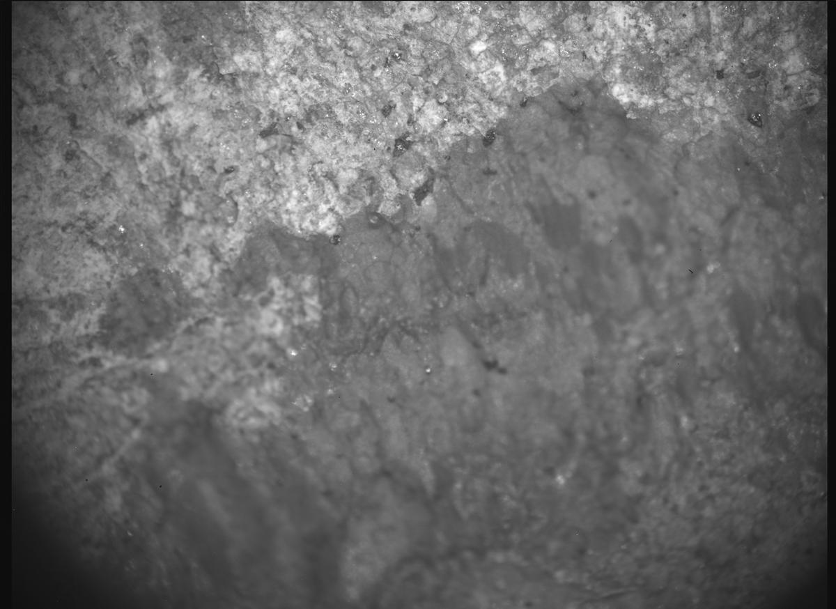 This image was taken by SHERLOC_ACI onboard NASA's Mars rover Perseverance on Sol 1810