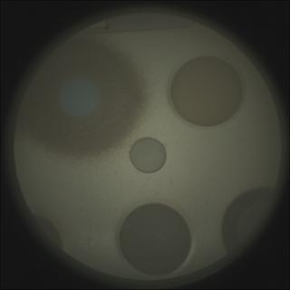 View image taken on Mars, Mars Perseverance Sol 1813: SuperCam Camera